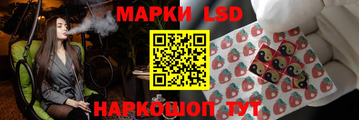 Псилоцибиновые грибы Луга