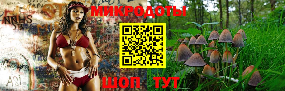 Псилоцибиновые грибы мицелий Луга