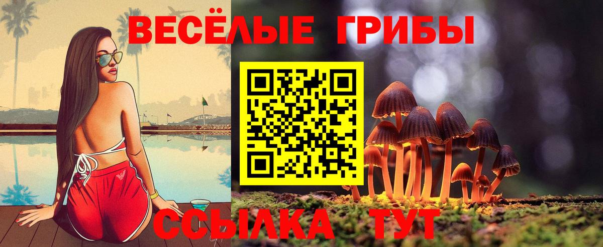 Луга  Псилоцибиновые грибы прущие грибы  Вход с VPN  Галлюциногенные грибы прущие грибы 